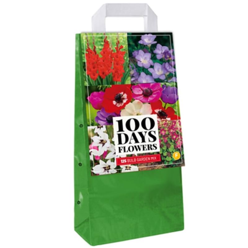 Jub Mix 125 Bulbes de Fleurs à Planter
