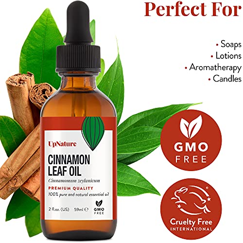https://m.media-amazon.com/images/I/512QL-RXdTL._SL500_.jpg