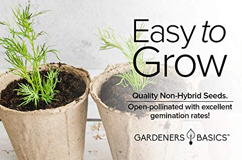 Dill Seeds For Planting Is A Heirloom, Non-Gmo Herb Variety- Anethum Graveolens Herb Seeds Great For Indoor And Outdoor Gardening By Gardeners Basics #TOP2
