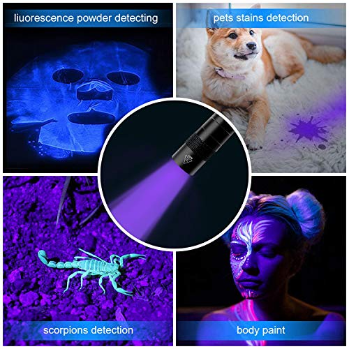 Molaer Uv Black Light Flashlight 2-Pack Mini 395Nm Blacklight Pen Light For Leak, Pet Urine, Bed Bug, Scorpion, Hotel Inspection, Dry Stain And Dye Detector #TOP5