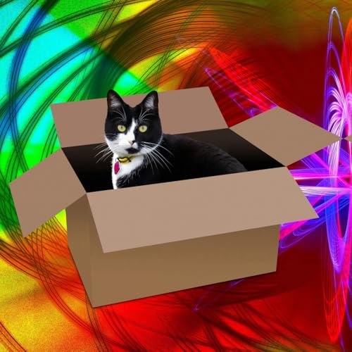 En m&eacute;canique quantique, d&eacute;codons l'exp&eacute;rience de pens&eacute;e du chat de Schrodinger