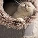 Katzenhöhle Hundehöhle Kuschelhöhle Katze Wärmeschutz im Winter Katzenbett Katzen Zubehör Plüsch Katzenkissen für Katzen Kleine Hunde (Grau, Mittel)
