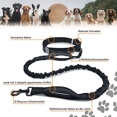 Hunde-Joggingleine mit Gürteltasche für aktives Hundetraining