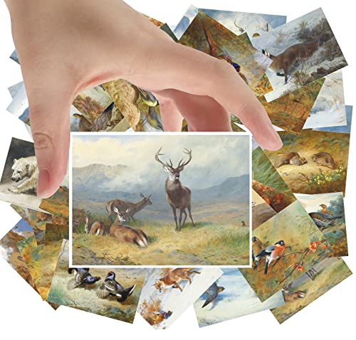 Large Stickers 24 pcs (2.5"x3.5" Each) Deers and Wild Animals