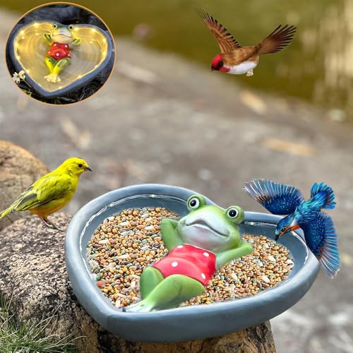 Garden Solar Frog Bird Feeder & Decor