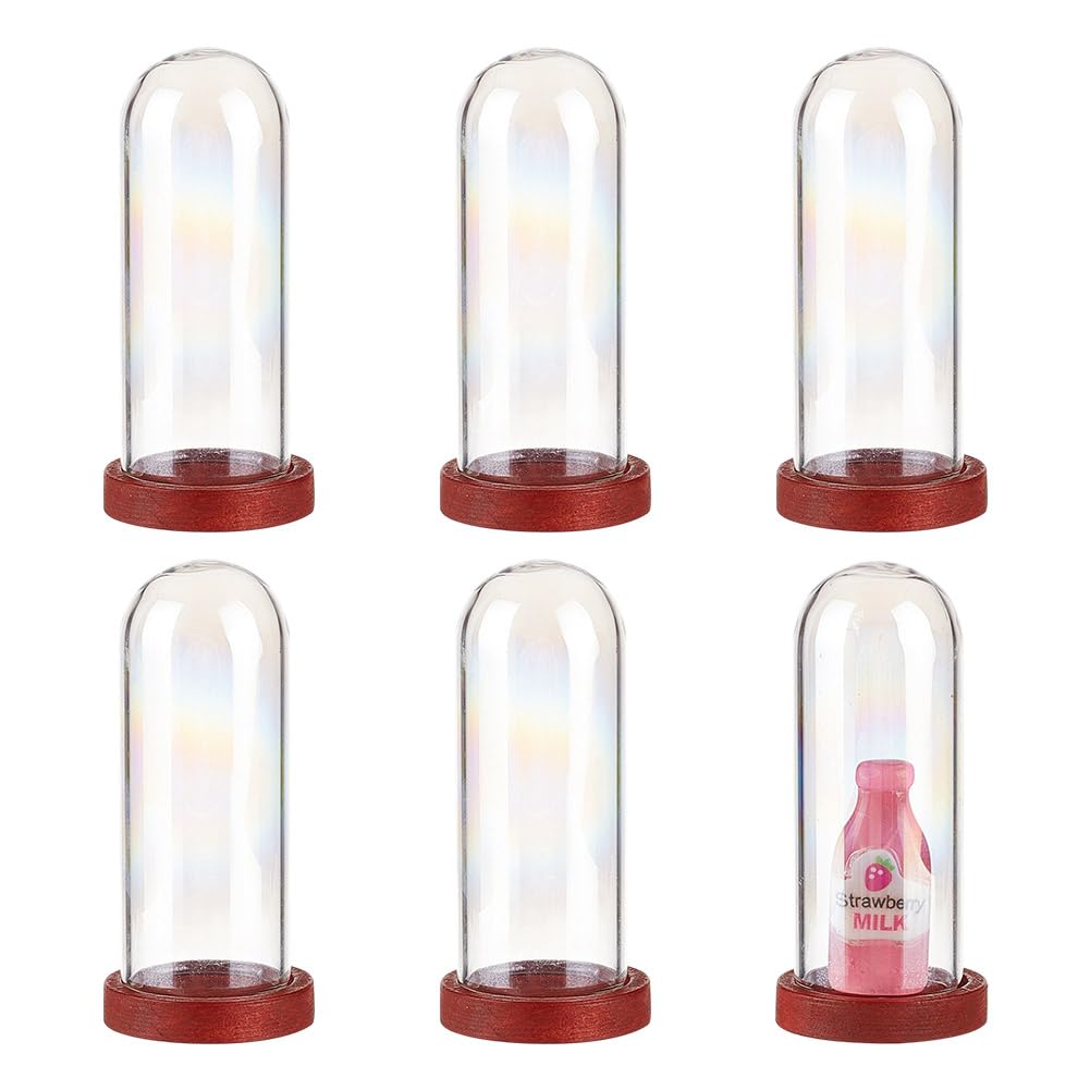DELORIGIN 6Pcs Clear Glass Dome With Wooden Base Mini Glass Bell Jar Hollow Glass Vial Stand for Artificial Flower Jewelry Gemstones Display Stand DIY Projects Wedding Party Keepsakes