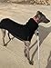 Imily Bela Hundepullover Fleece Rollkragen Hundemantel Warmer Weste Pullover Outdoor Hundejacke Winterkleidung für Kleine Mittel Große Hunde,Schwarz,M