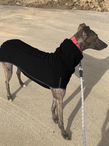 Imily Bela Hundepullover Fleece Rollkragen Hundemantel Warmer Weste Pullover Outdoor Hundejacke Winterkleidung für Kleine Mittel Große Hunde,Schwarz,M