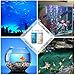 Aquarium Test Strips for Freshwater Fish: 7 in 1 Fish Tank Water Testing Kit for Aquarium Pond - Accurate Testing Nitrate Nitrite Hardness Free Chlorine pH Carbonate Total Alkalinity-100 Strips