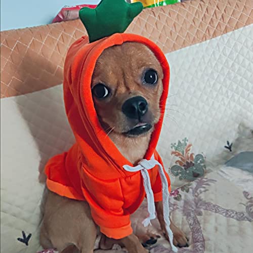 Hdkuw Dogs Hoodie, Sweatshirt Fruit Warm Coat Sweater, Cold Weather Costume For Puppy Small Medium Dog (M, Orange Carrot) #TOP6