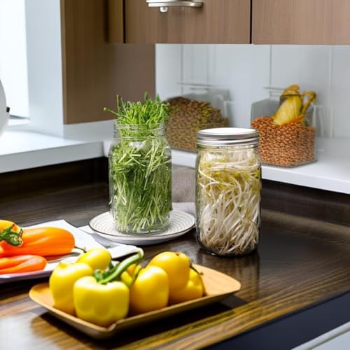 Image of HASTHIP Seed Sprouting Jar with Lid 32Oz Glass Sprouting Mason Jar with Shading Sleeve Ventilation Stainless Steel Mesh Lid Reuseable Glass Sprouting Mason Jar for Edible Sprouts, Mung Beans, Lentils