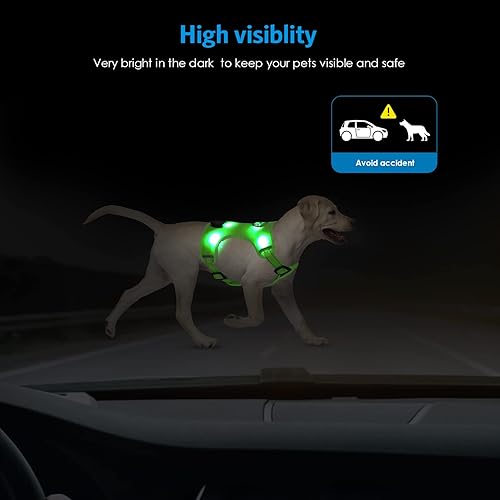 Miniatura 3 de AMIR - Arnés LED para perro, pequeño, sin tirones, sin estrangulamiento, recargable por USB, 3 modos de iluminación, ajustable, transpirable, malla