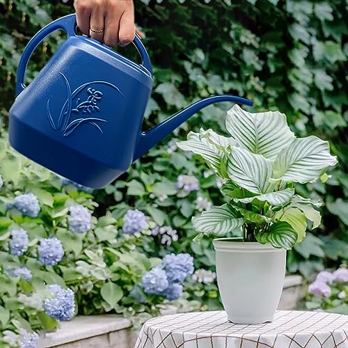Image of Plant Watering Can - Blue - 1 /2 Gallon