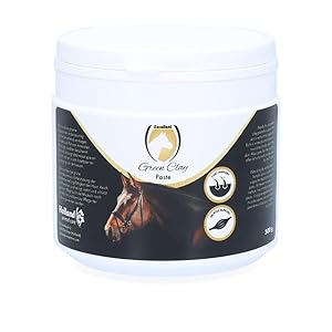 Excellent Green Clay Paste 500 Gramm