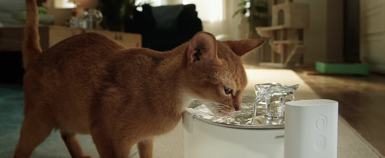 Amazon | Cheerble E1+ 猫自動給水器 水飲み器 ポンプレス磁力給水 