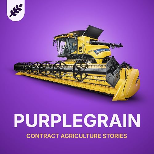 Purple Grain cover art