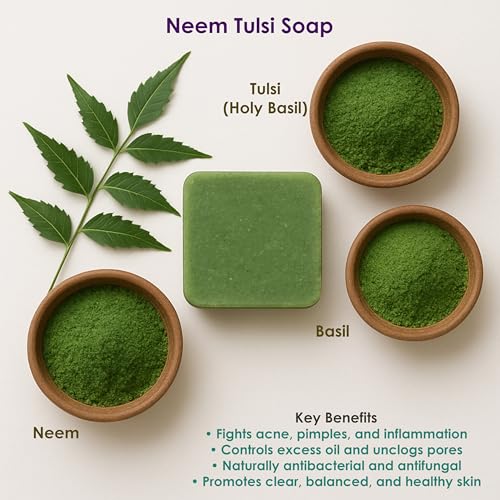 Image of Handmade Soaps Combo - Shikakai Shampoo Bar, Coconut Oil Ylang Ylang & Neem Tulsi Basil Soaps | Herbal Bathing & Hair Care Bars | Gentle Cleansing, Anti-Acne | Pack of 3 (105g each)