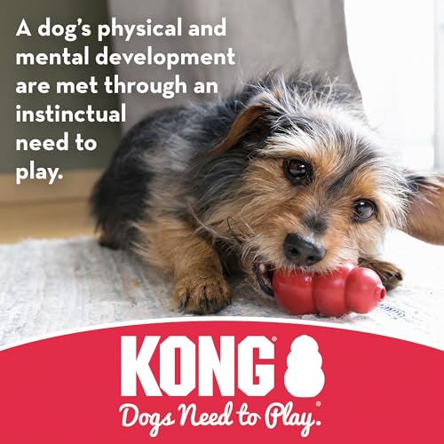 Kong KB51 Goodie Bone With Rope - Classic Durable Natural Rubber Dog Bone, Supports Mental Engagement - Treat Dispensing thumb #2