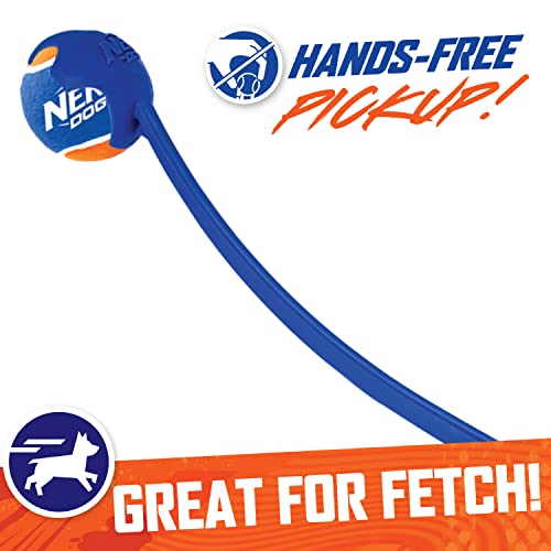 Nerf Dog 25In Translucent Air Strike Thrower, Dog Toy Gift Set With Five 2.5In Balls, Lightweight, Durable And Water Resistant, For Small/Medium/Large Breeds #TOP2