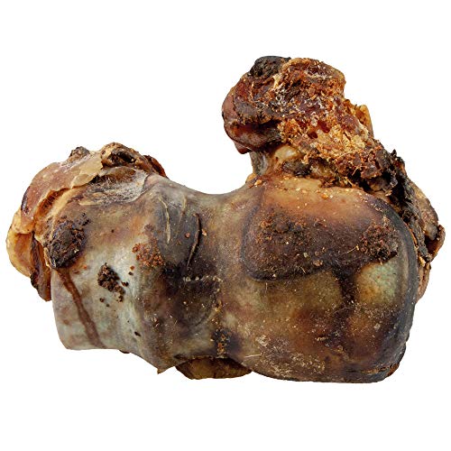 Schecker Knochenköpfe 2 Stück XL-Größe (ca. 12-16 cm, je 800-1100 g) Aus der Region große, schwere Endstücke von Bullen Oberschenkelknochen