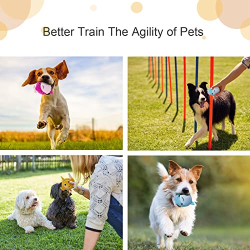 3 Pack Squeaky Dog Balls Toy, 2 in 1 Rubber Bouncy Fetch Pet Balls, Dog Birthday Toy, for Medium Small Pets Interactive Play 3 Pack Squeaky Dog Balls Toy, 2 in 1 Rubber Bouncy Fetch Pet Balls, Dog Birthday Toy, for Medium Small Pets Interactive Play