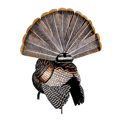 AvianX HDR Strutter Turkey Decoy, Multi The Turkey Call Store
