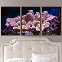 3 Piece Framed Canvas Wall Art Colorful Jellyfish Marine Life Canvas Prints Home Artwork Decoration for Living Room,Bedroom - 16