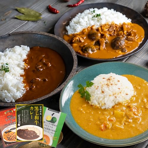 ばあちゃん本舗 みやざきカレー3種セット ポスト投函 翌月お届け