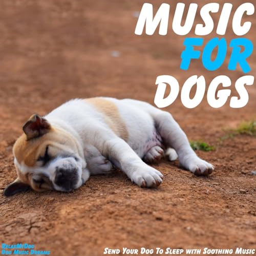 Relaxmydog & Dog Music Dreams