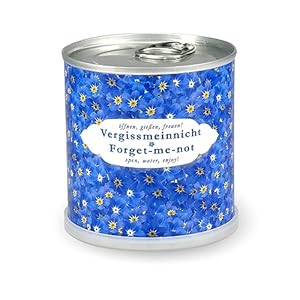 MacFlowers Vergissmeinnicht Anzuchtset Blumendose
