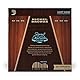 D’Addario Gitarrensaiten Akustikgitarre | Gitarrensaiten Westerngitarre | Acoustic Guitar Strings | NB1253 Nickel Bronze Akustik Gitarre Saiten (Light, 12-53)
