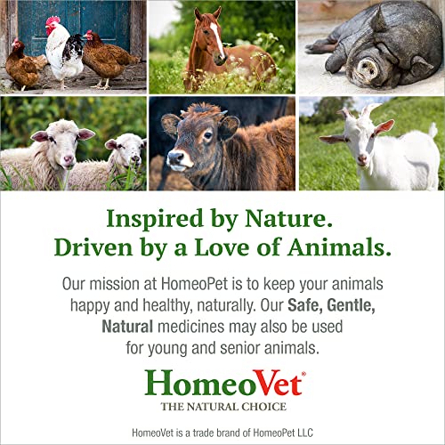 Homeovet Equiopathics Nose Relief Drops, Natural Respiratory Medicine For Large Animals, 120 Milliliters #TOP6
