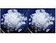 Kefiralia Wasserkefir 2 x 100 g