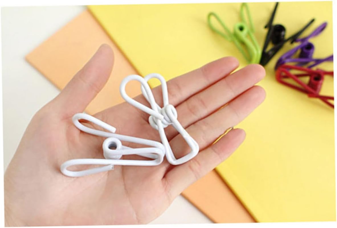Clothes Pegs for Washing Line 100 Pcs Stainless Steel Clothespins Clips Cord Clothes Pins File Folders Socks Clothespin
