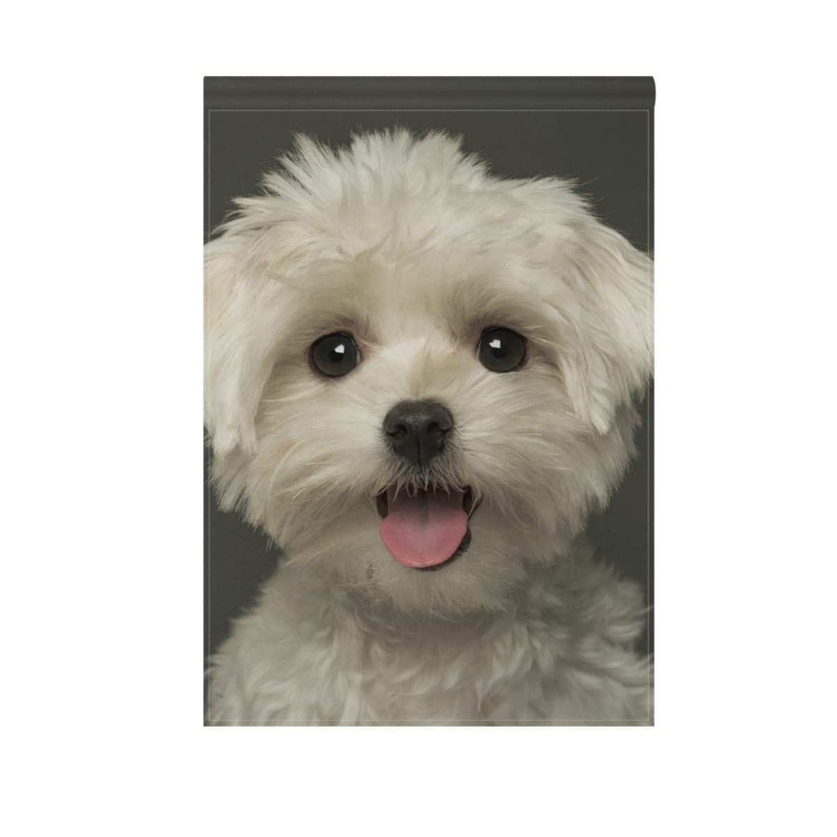 Hokkien Maltese Puppy Panting Garden Flag Double Sided 12 x 18 Inch, Yard Flags, Decorative Small Garden Flags, Outdoor Lawn and Garden Décor