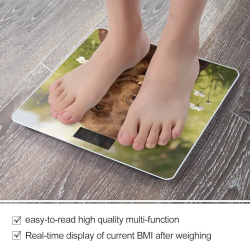 Báscula digital de baño Brune con vidrio templado miniatura 5