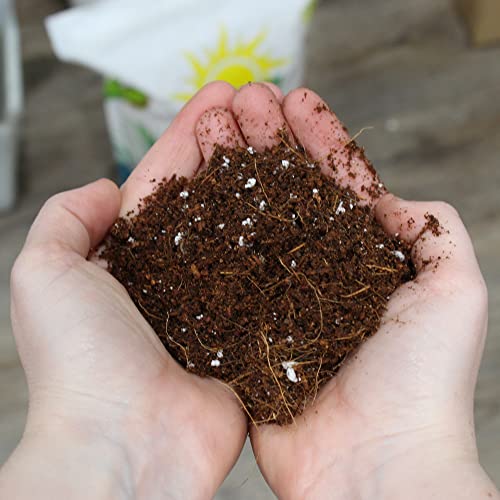 Coco Peat Perlite Potting Mix (2 Quarts), Loose Coconut Coir And Perlite #TOP4