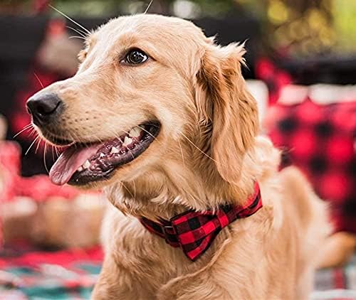 Miniatura 5 de THAIN Collar de perro personalizado para perros machos y hembras, collares grabados para mascotas con nombre y hebilla de metal personalizada con