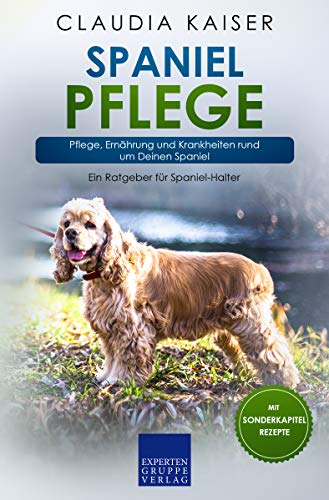 Spaniel Pflege: Pflege, Ernährung und Krankheiten rund um Deinen Span