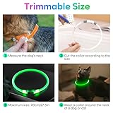 iTayga Leuchthalsband Hund, USB Typ-C und Wasserdicht RGB Hundehalsband, Verstellbare Länge, Sichtweite 500M, 7 Modi, Grün Blau Rot Mehrfarbig Leuchtendes Halsband für Hunde und Katzen