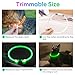 iTayga Leuchthalsband Hund, USB Typ-C und Wasserdicht RGB Hundehalsband, Verstellbare Länge, Sichtweite 500M, 7 Modi, Grün Blau Rot Mehrfarbig Leuchtendes Halsband für Hunde und Katzen