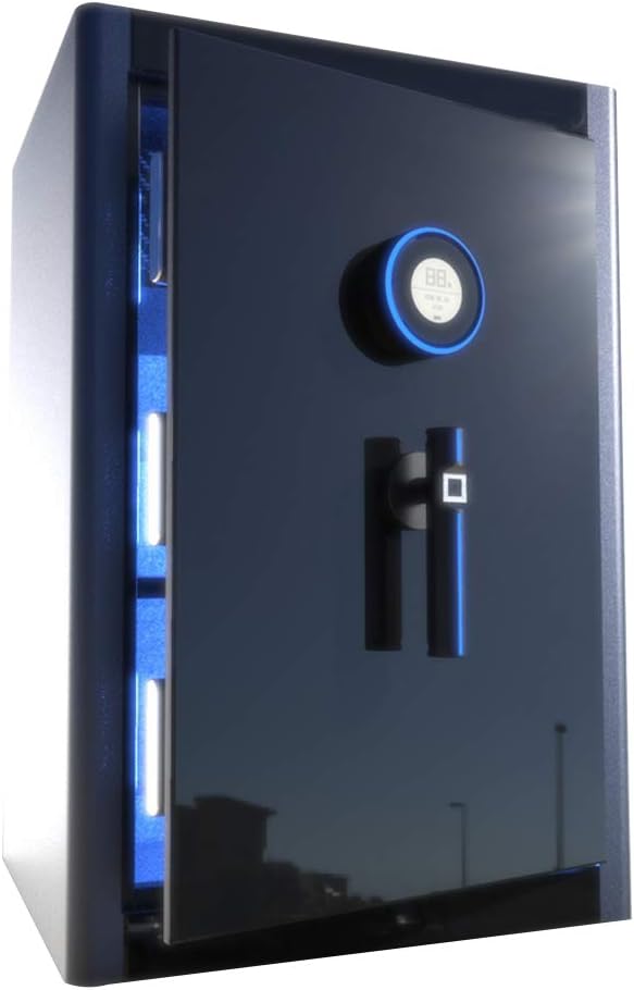 HYYQG Security Safe, Biometric Fingerprint Security Safe Led Display Smart Keypad Key Lock Protect Guns Jewelry Cash Ideal For Home Office Hotel