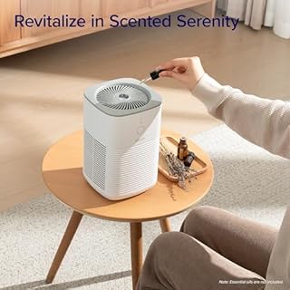 LEVOIT Air Purifier for Bedroom Home, Dual HEPA Filters with Aromatherapy Diffuser, Quiet Sleep Mode, Air Cleaner for Smoke, Allergies, Pet Dander, 100% Ozone Free, LV-H128, Gray