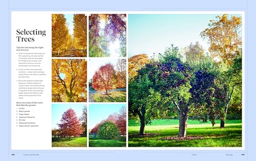 Martha Stewart's Gardening Handbook: The Essential Guide to Designing, Planting, and Growing--Martha Stewart's Handbook For Growing Beautiful Plants and Vegetables - Image 5