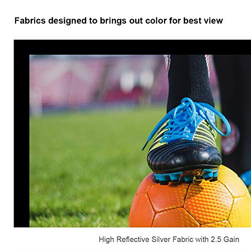 Qualgear 120-Inch Fixed Frame Projector Screen, 16: 9 3D High Reflective Silver At 2.5 Gain (Qg-Ps-Ff6-169-120-S) #TOP1