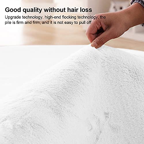 Rainlin Ultra Soft Fluffy Faux Fur Sheepskin Area Rug Modern 2X3 Shaggy Chair Couch Cover Seat Cushion Furry Beside Rugs Non-Slip Mat For Bedroom Floor Sofa Living Room, White #TOP3