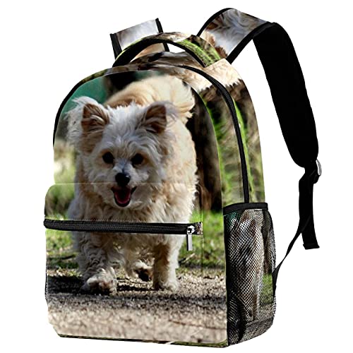 Sac à dos de voyage motif chien pour femme, grand sac à bandoulière de ville