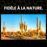 Exo Terra sable désert rouge pour reptiles fouisseurs 4,5 kg photo 4
