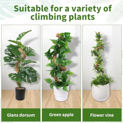 HFLYJPYW 2 Pack 29'' Bendable Moss Pole Monstera Plant Support for Climbing Indoor Plants - Stakes for Potted Climbers (2) — view 3