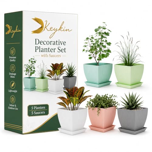 Image of (Pack of 5 6 inch Plant Flower Pots with Drainage Holes and Tray Saucers Outdoor Indoor - Ideal for Indoor Plants, Succulents, and Small Pots for Plants (Square LINE, Multi Colour)